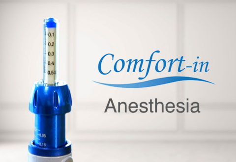 Hair Transplant Comfort-in